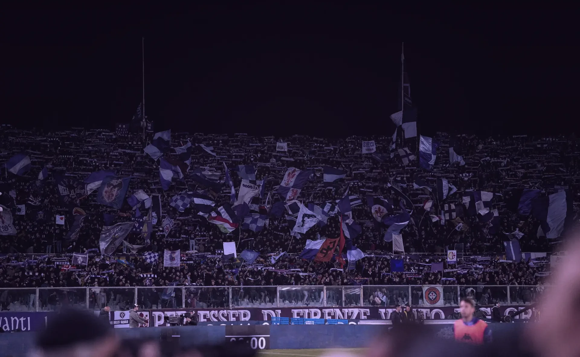 Stadio Artemio Franchi